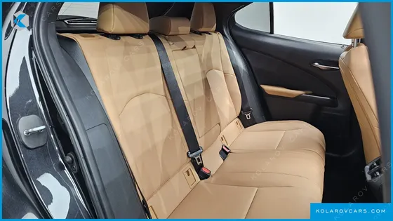 LEXUS UX 2.0 2WD