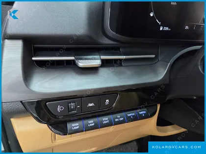 KIA CARNIVAL 9-SEATER HI-LIMOUSINE(SPECIAL VEHICLE)