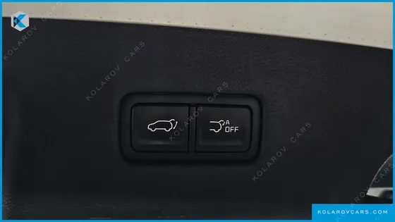 KIA CARNIVAL 9-SEATER SIGNATURE