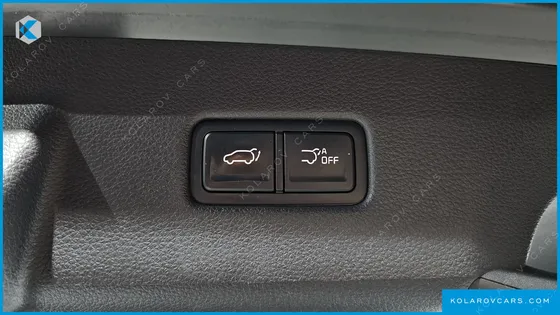 KIA CARNIVAL 9-SEATER SIGNATURE