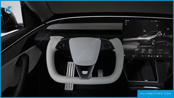 TESLA MODEL Y LONG RANGE AWD