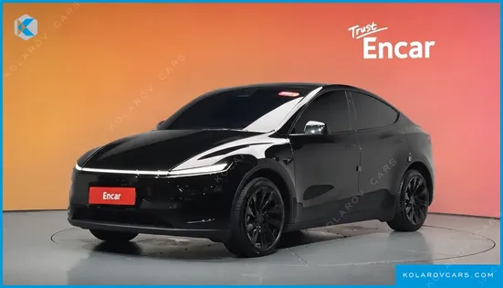 TESLA MODEL Y LONG RANGE AWD