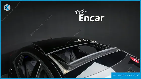 MERCEDES S-CLASS S350L BLUE TEC
