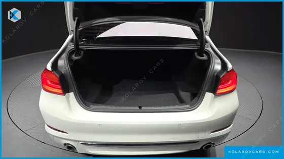 BMW 5 SERIES 520D LUXURY SPECIAL EDITION