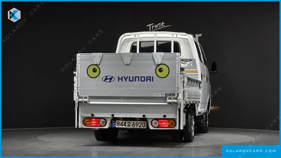 HYUNDAI PORTER II DOUBLE CABIN LPG