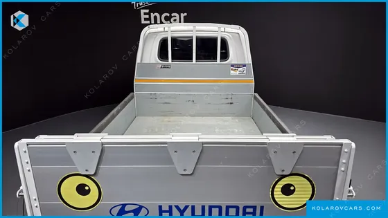 HYUNDAI PORTER II DOUBLE CABIN LPG