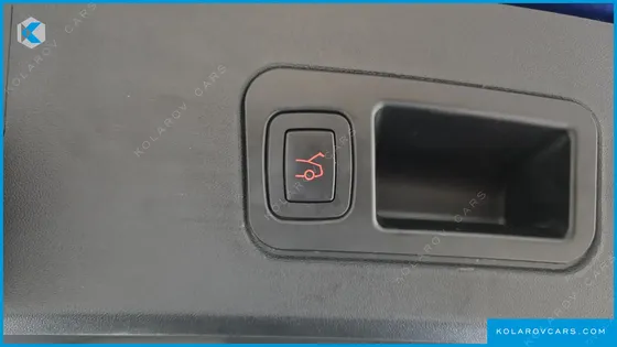 TESLA MODEL S P100D