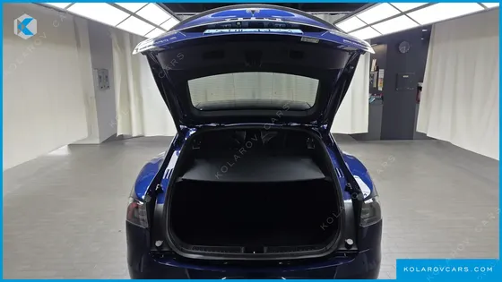 TESLA MODEL S P100D