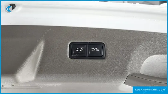 KIA CARNIVAL GASOLINE 9-SEATER HI-LIMOUSINE