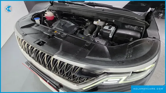 KIA CARNIVAL GASOLINE 7-SEATER HI-LIMOUSINE