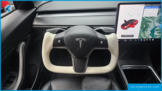 TESLA MODEL 3 STANDARD RANGE PLUE RWD