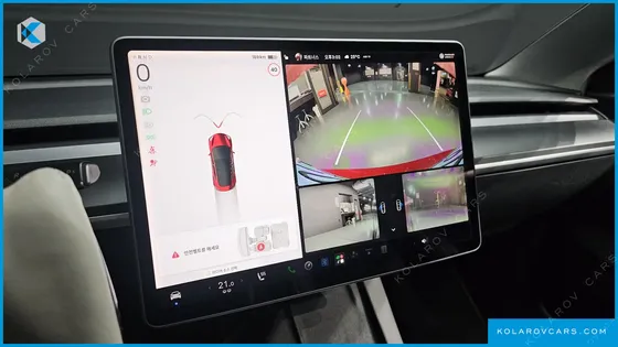 TESLA MODEL 3 STANDARD RANGE PLUE RWD