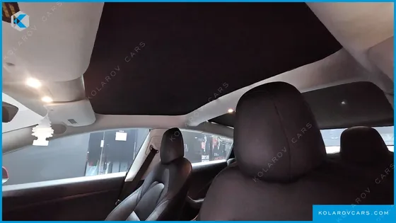 TESLA MODEL 3 STANDARD RANGE PLUE RWD