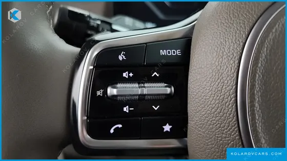 KIA CARNIVAL GASOLINE 7-SEATER GRAVITY