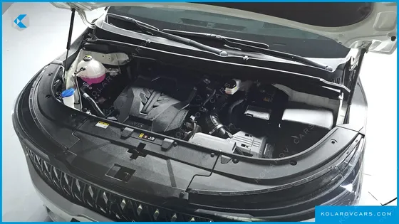 KIA CARNIVAL GASOLINE 7-SEATER HI LIMOUSINE