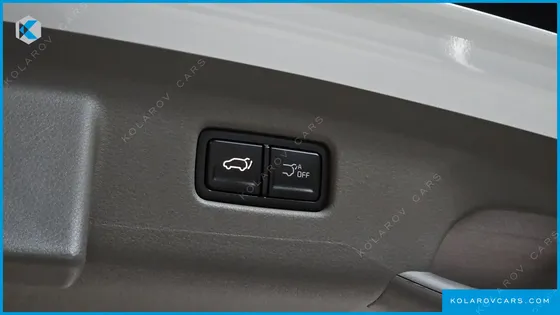 KIA CARNIVAL GASOLINE 7-SEATER HI LIMOUSINE