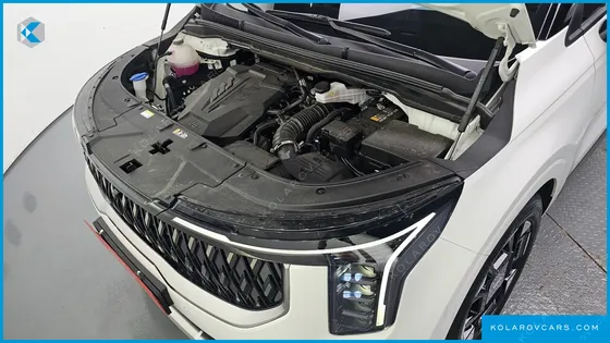 KIA CARNIVAL GASOLINE 9-SEATER HI LIMOUSINE