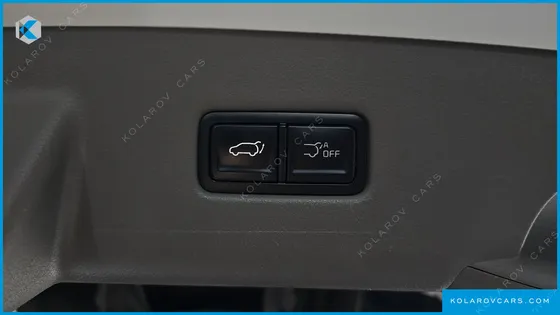 KIA CARNIVAL GASOLINE 9-SEATER HI LIMOUSINE