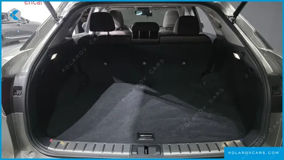 LEXUS RX EXECUTIVE