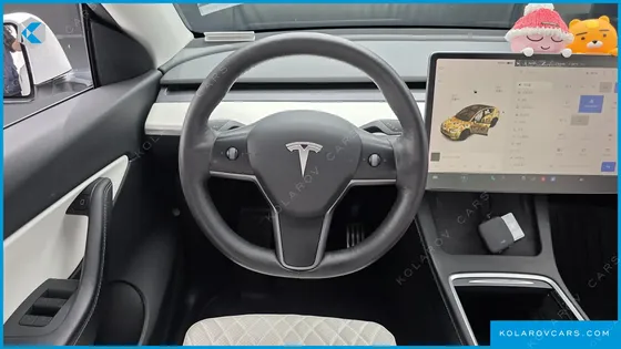 TESLA MODEL Y LONG RANGE AWD