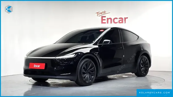 TESLA MODEL Y LONG RANGE AWD