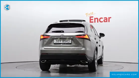 LEXUS NX EXECUTIVE