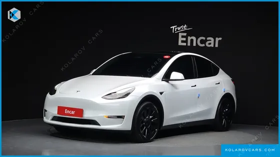 TESLA MODEL Y LONG RANGE AWD