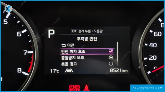 KIA CARNIVAL GASOLINE 7-SEATER OUTDOOR