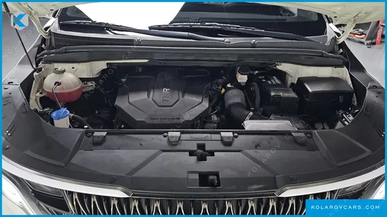 KIA CARNIVAL 9-SEATER NOBLESSE