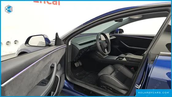 TESLA MODEL 3 PERFORMANCE AWD