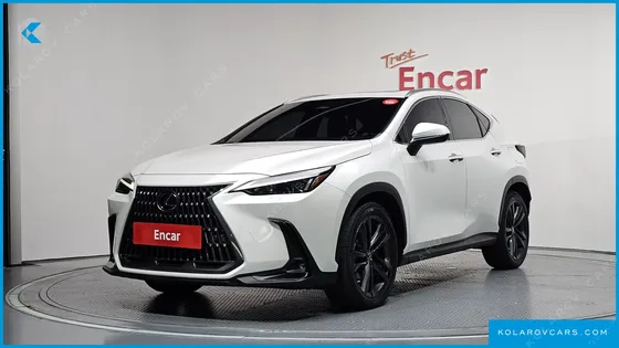 LEXUS NX PREMIUM