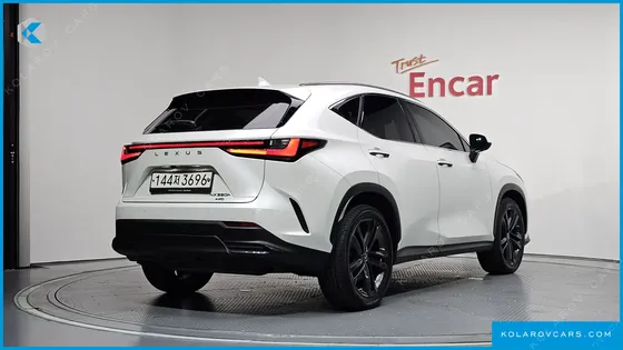 LEXUS NX PREMIUM