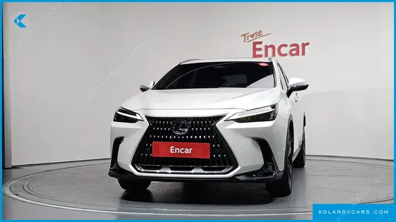 LEXUS NX PREMIUM