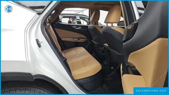LEXUS NX PREMIUM