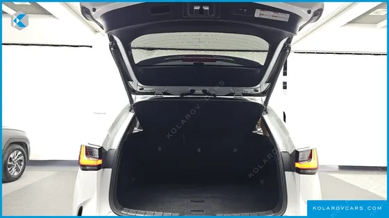 LEXUS NX PREMIUM