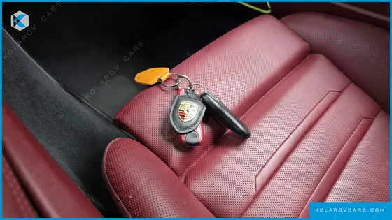 PORSCHE PANAMERA 2.9 AWD E-HYBRID PLATINUM EDITION