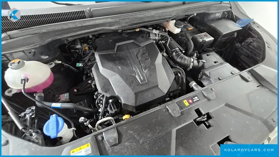 KIA CARNIVAL GASOLINE 7-SEATER HI-LIMOUSINE