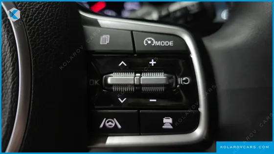 KIA CARNIVAL 9-SEATER NOBLESSE