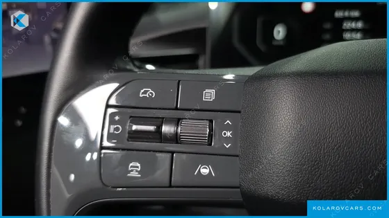 KIA EV9 LONG RANGE 4WD