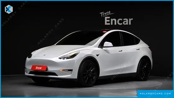 TESLA MODEL Y LONG RANGE AWD