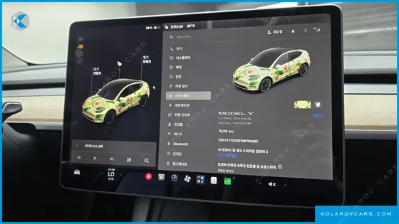 TESLA MODEL Y LONG RANGE AWD