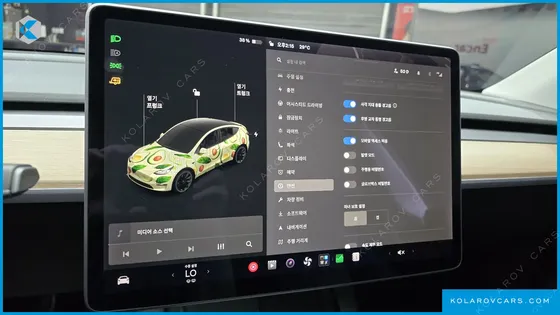 TESLA MODEL Y LONG RANGE AWD