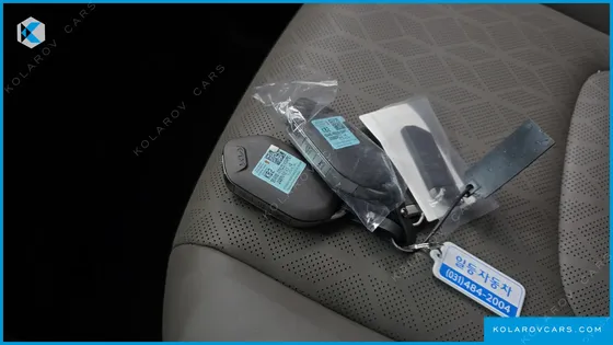 KIA CARNIVAL 9-SEATER NOBLESSE