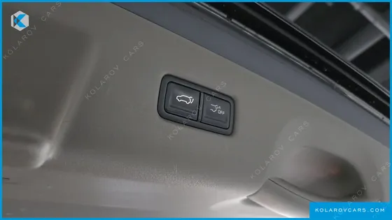 KIA CARNIVAL GASOLINE 9-SEATER HI LIMOUSINE