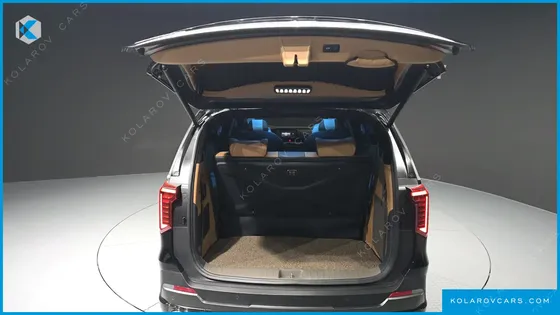 KIA CARNIVAL 9-SEATER HI LIMOUSINE (SPECIAL VEHICLE)