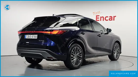 LEXUS RX LUXURY