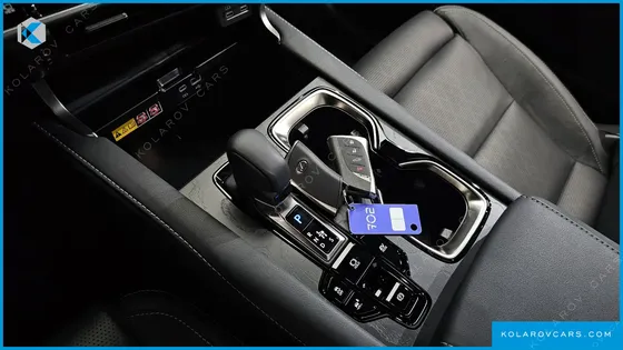 LEXUS RX LUXURY
