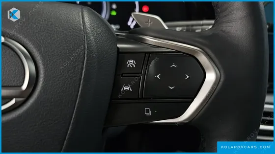 LEXUS RX LUXURY