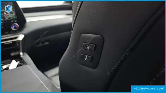 LEXUS RX LUXURY