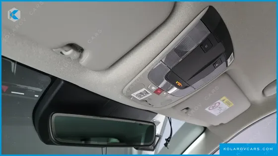 KIA NIRO EARTH